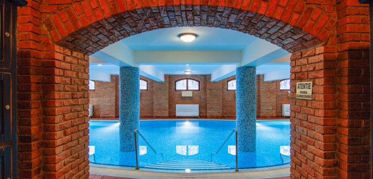 Swimming Pool & Jacuzzi Slide 8